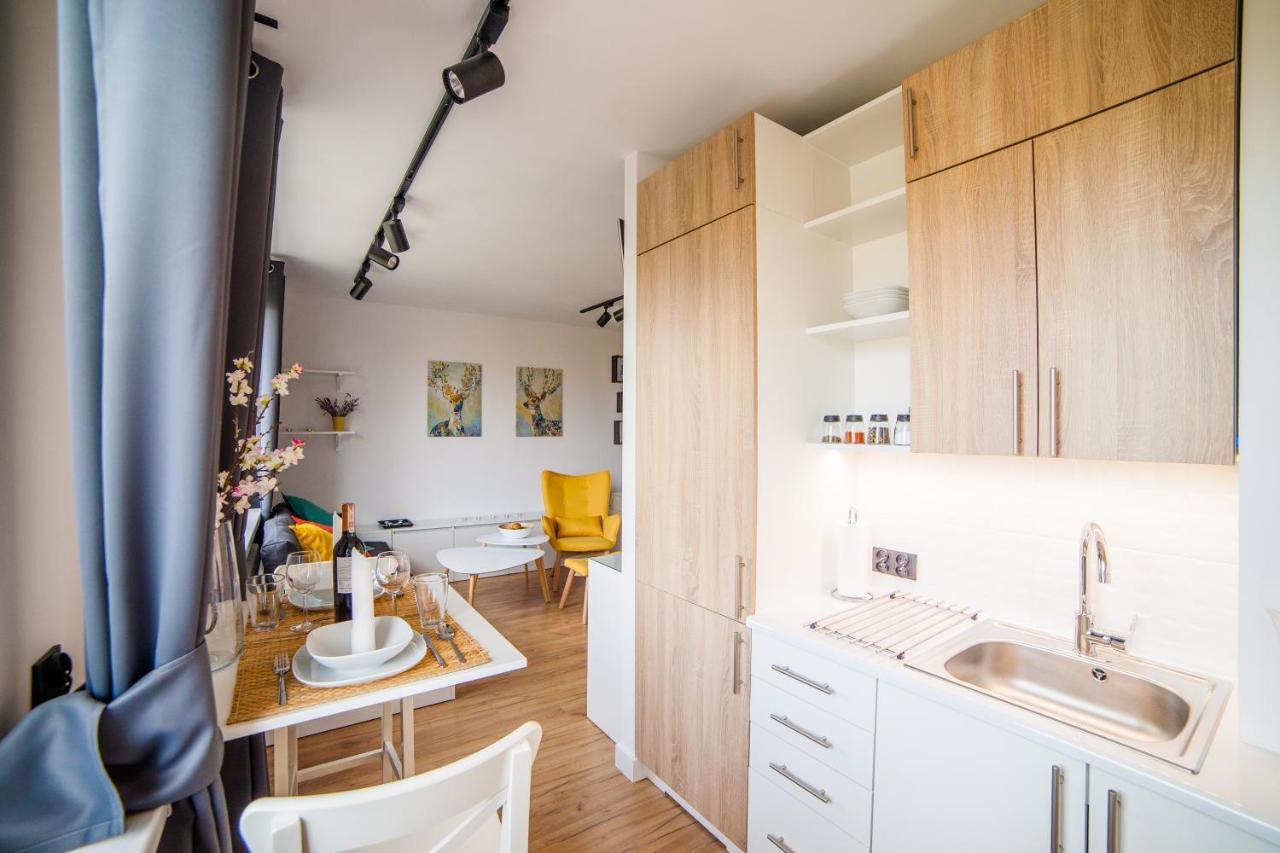 Apartament Zdrojovy 布斯克·兹德鲁伊 外观 照片